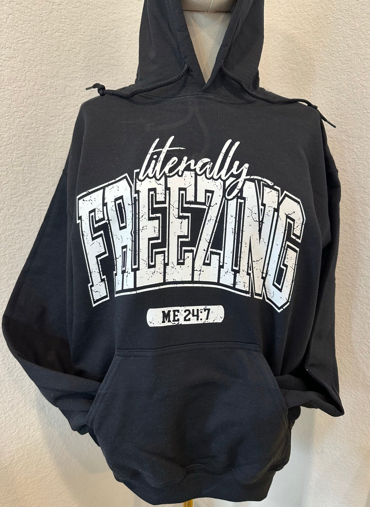 Literally Freezing Hoodie